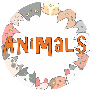 動物系